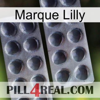 Lilly Brand 31